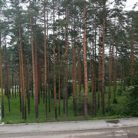 Lena Апартаменты Златибор