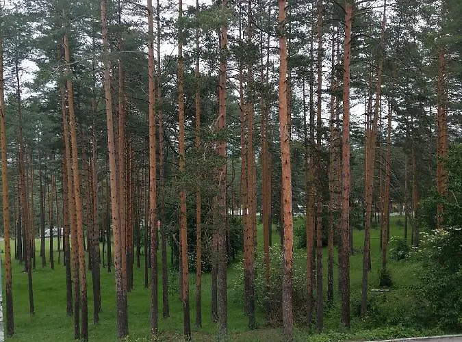 Lena 公寓 兹拉蒂博尔